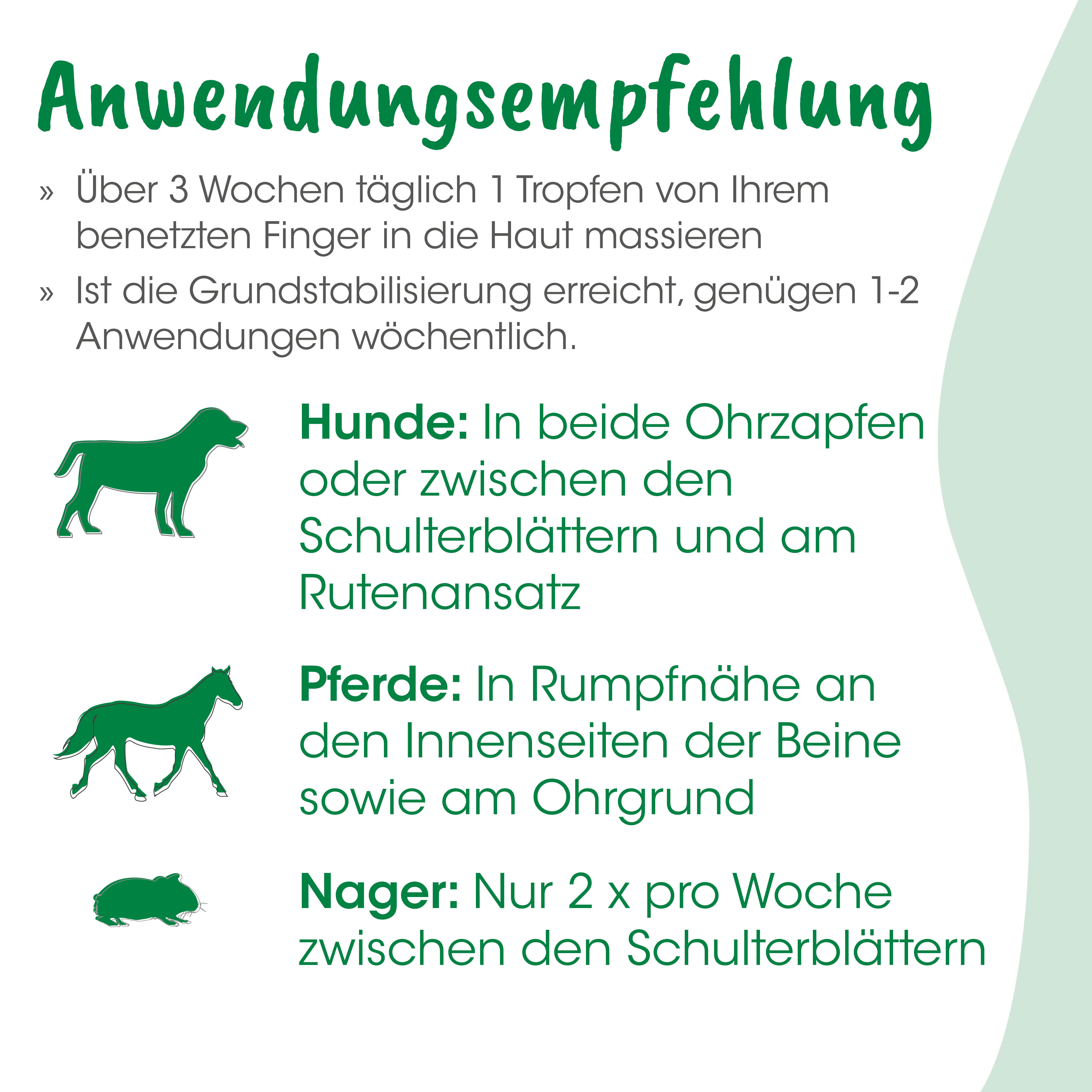 Hund, Katze, Pferd, Nager, Tierarzt, Hund, Pferd, Nager, Tier, Hinweis