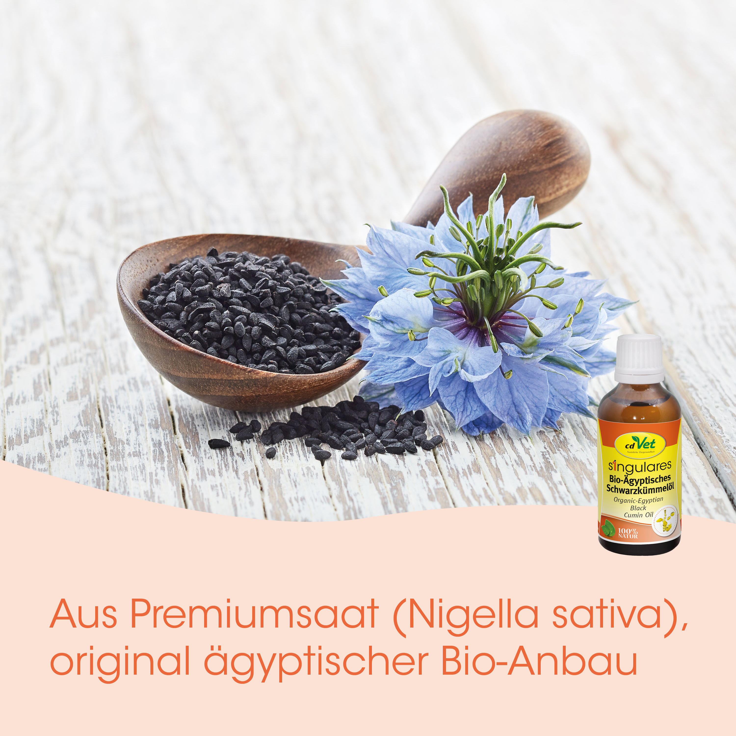 Kaffeespel, Körner, Schwarzkümmel, Nigella sativa, Ölfläschchen
