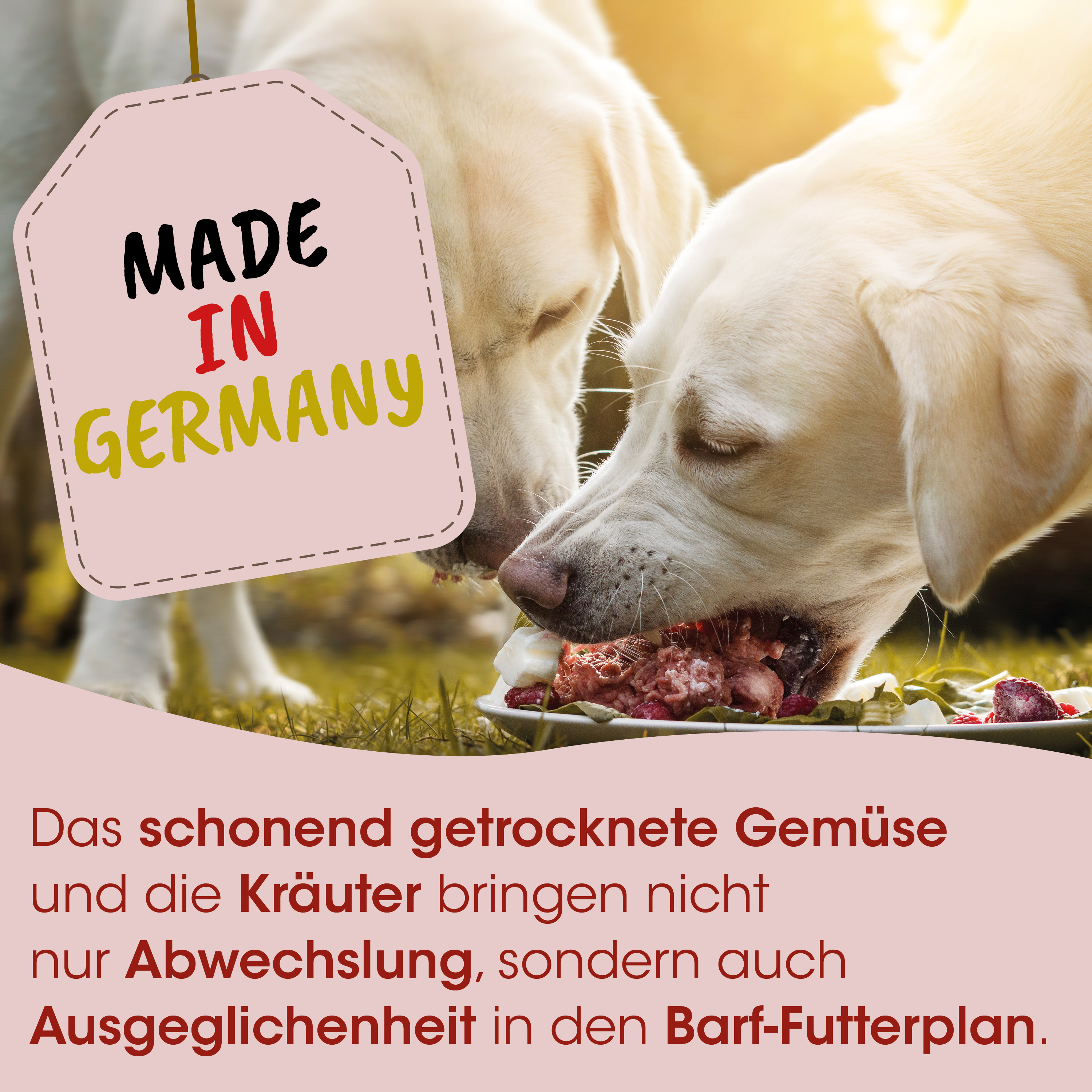 Hunde-Futter, Barf-Futter, getrocknete Gemüse, Gemüse, Nahrung für Hunde