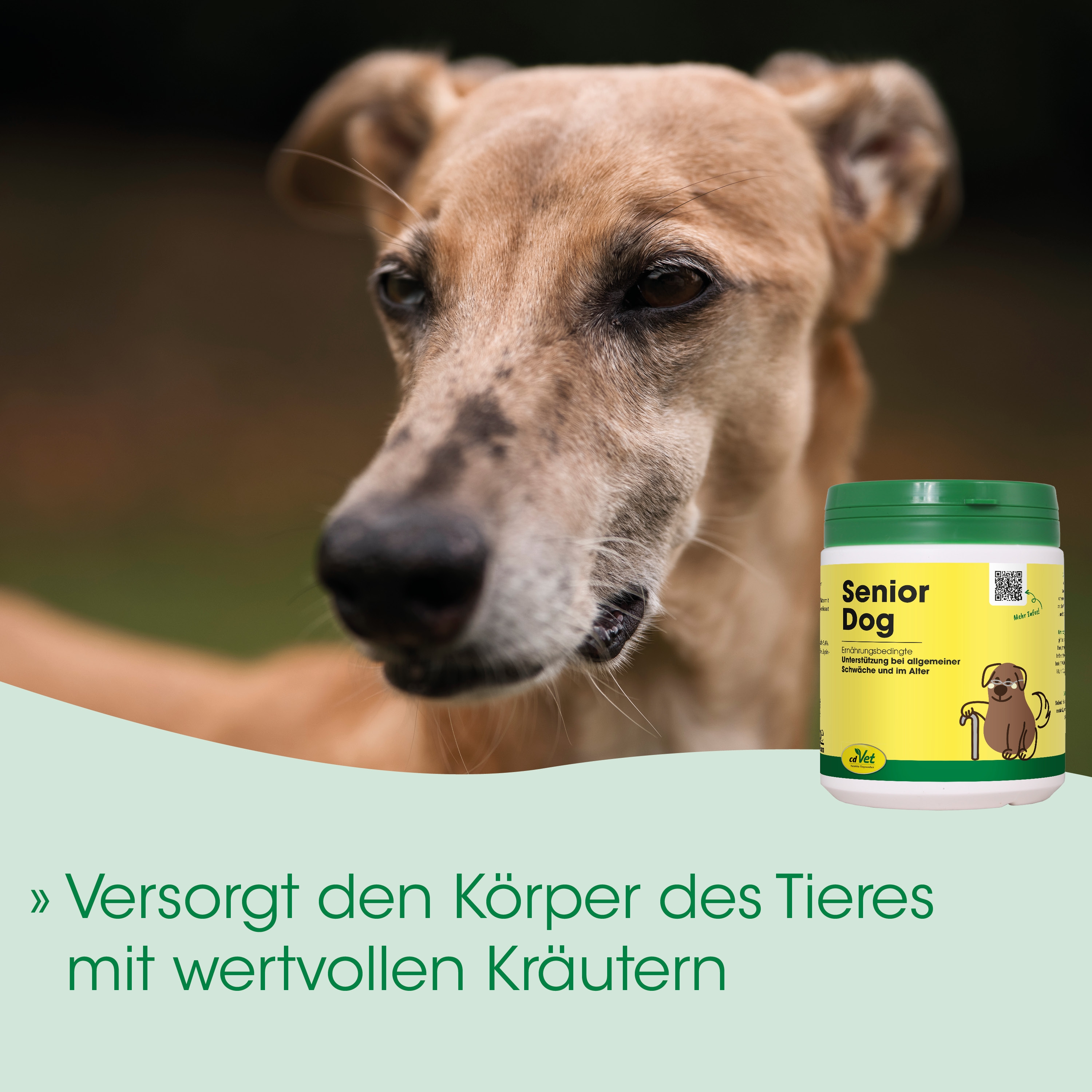 Hunde-Nahrung, Seniorenfutter, Kräuter, Tierernährung, Tiergesundheit