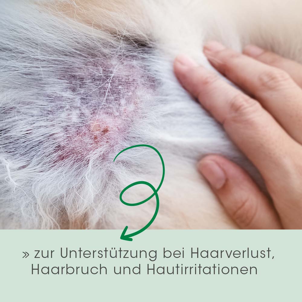 Fell & Haut Vital Hund & Katze 750 g