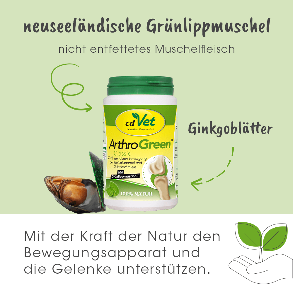 Ginkgo-Blätter, ArthroGreen, Gelenkunterstützung, Natürliche Nahrungsergänzung, Kapseln
