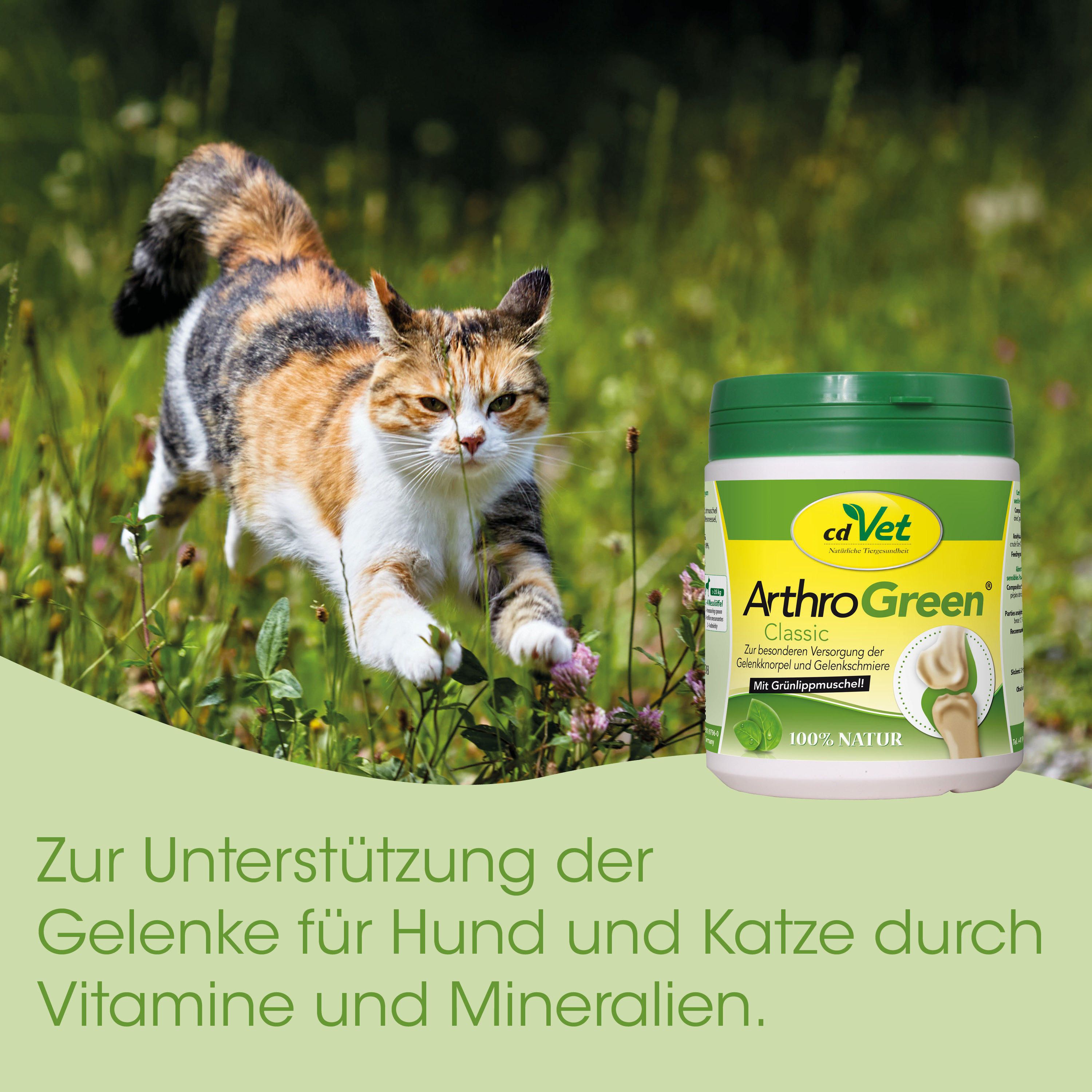 Katze, Tierfutter, ArthroGreen, Vitamin, Gelenksupplement