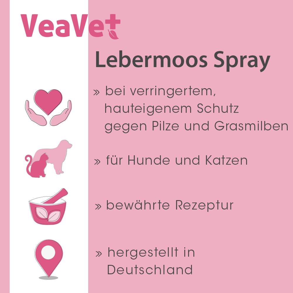 Spray, Lebermoos, Hunde Katze, Pflegemittel, Rezeptur