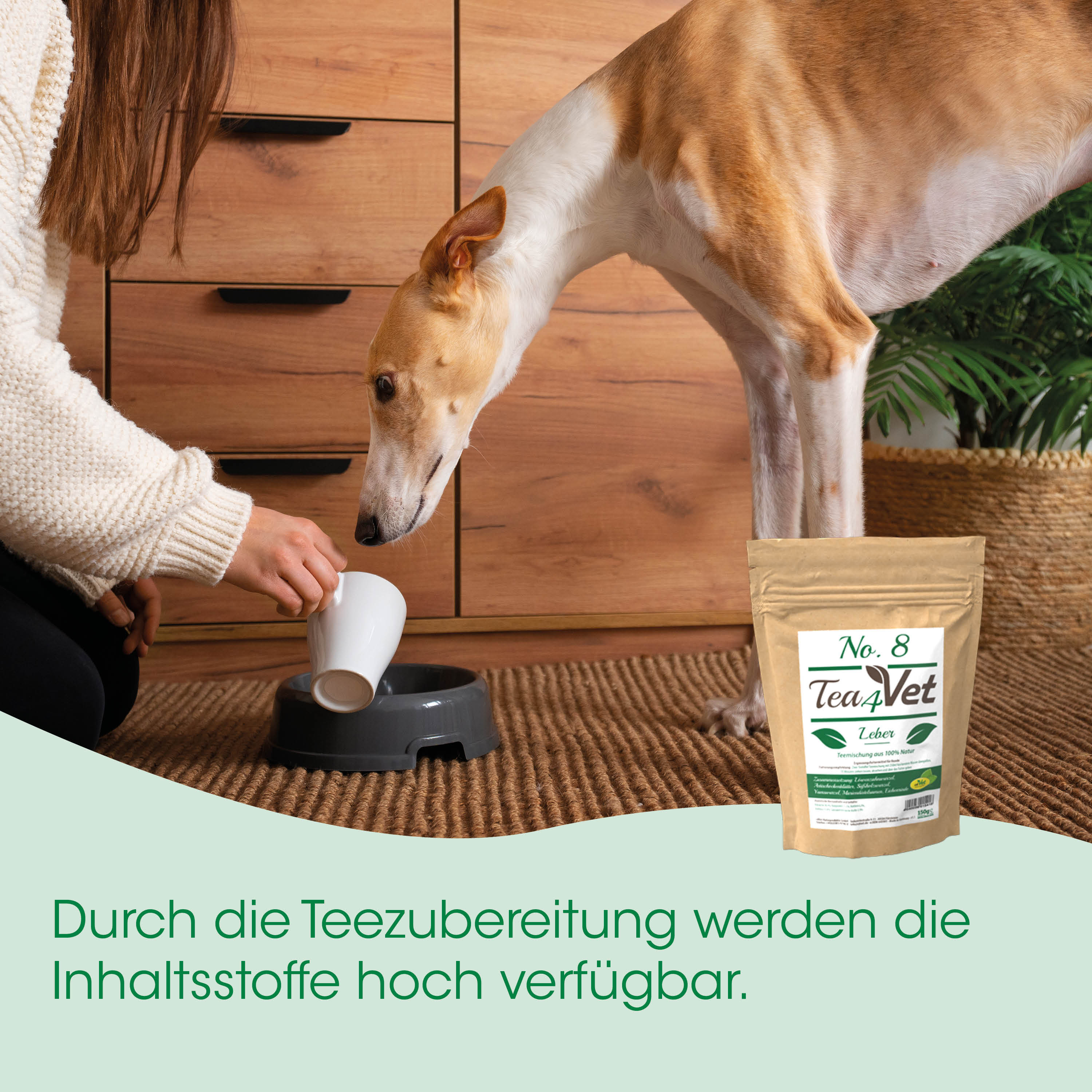 Hund, Tierfutter, Teefutter, Becher, Napf