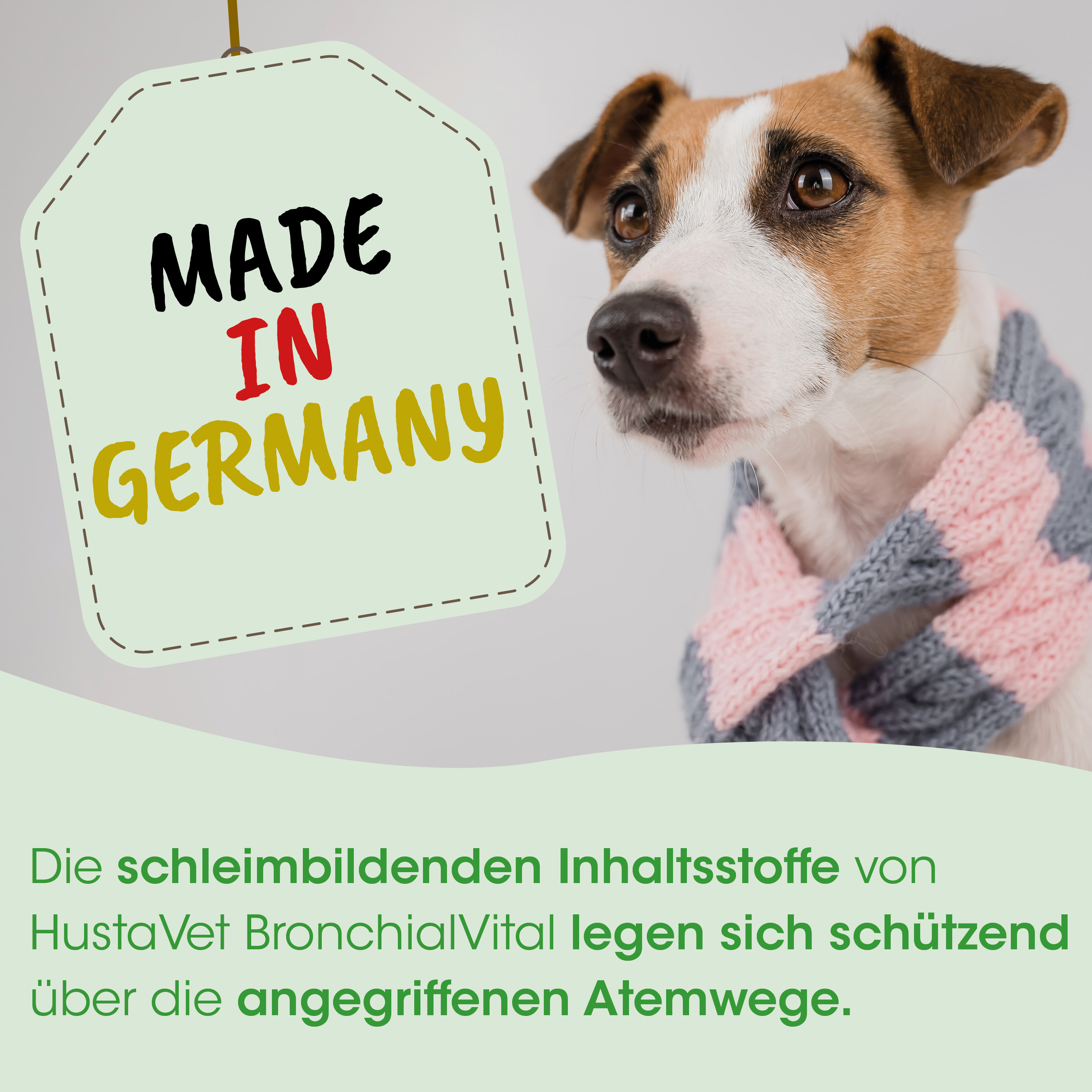 tier, haustier, schal, gestrickt, Deutschland