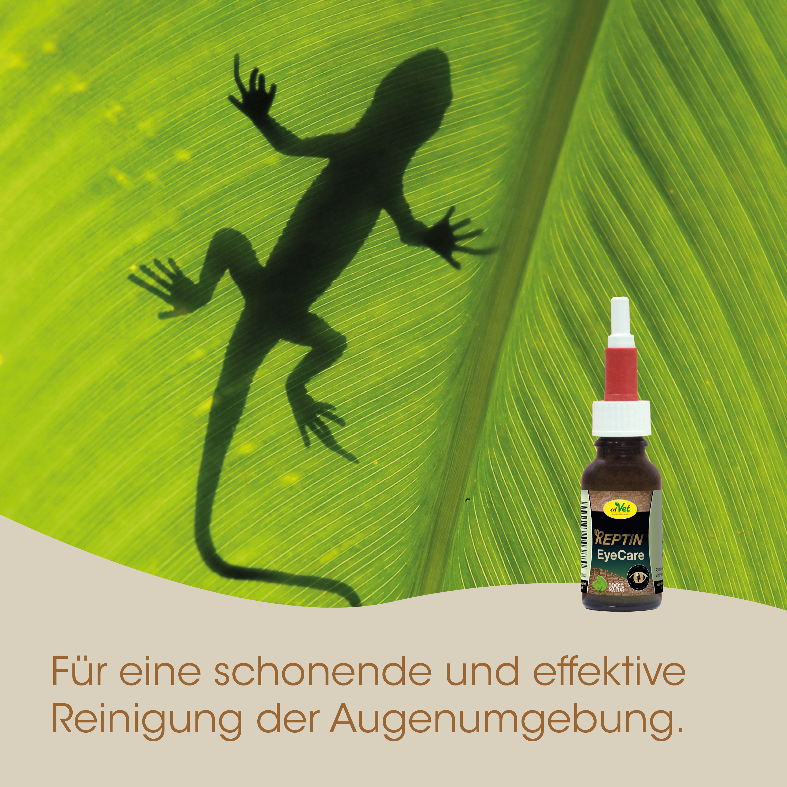 Läusemittel, Augenpflege, Augenpflegeprodukt, Reptin EyeCare, Sprayflasche