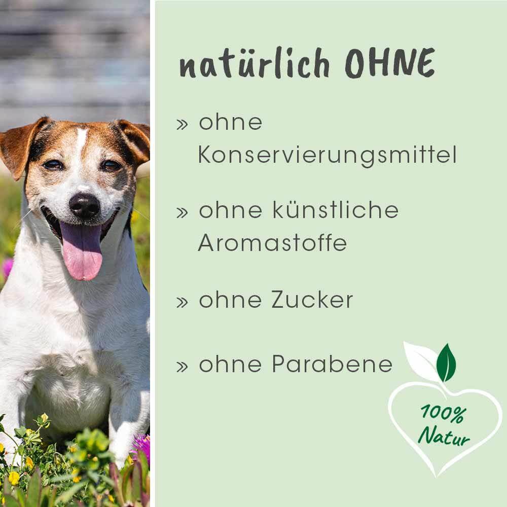 Hund, Hundegesicht, Tiernahes Bild, Sommergrün, Naturprodukt