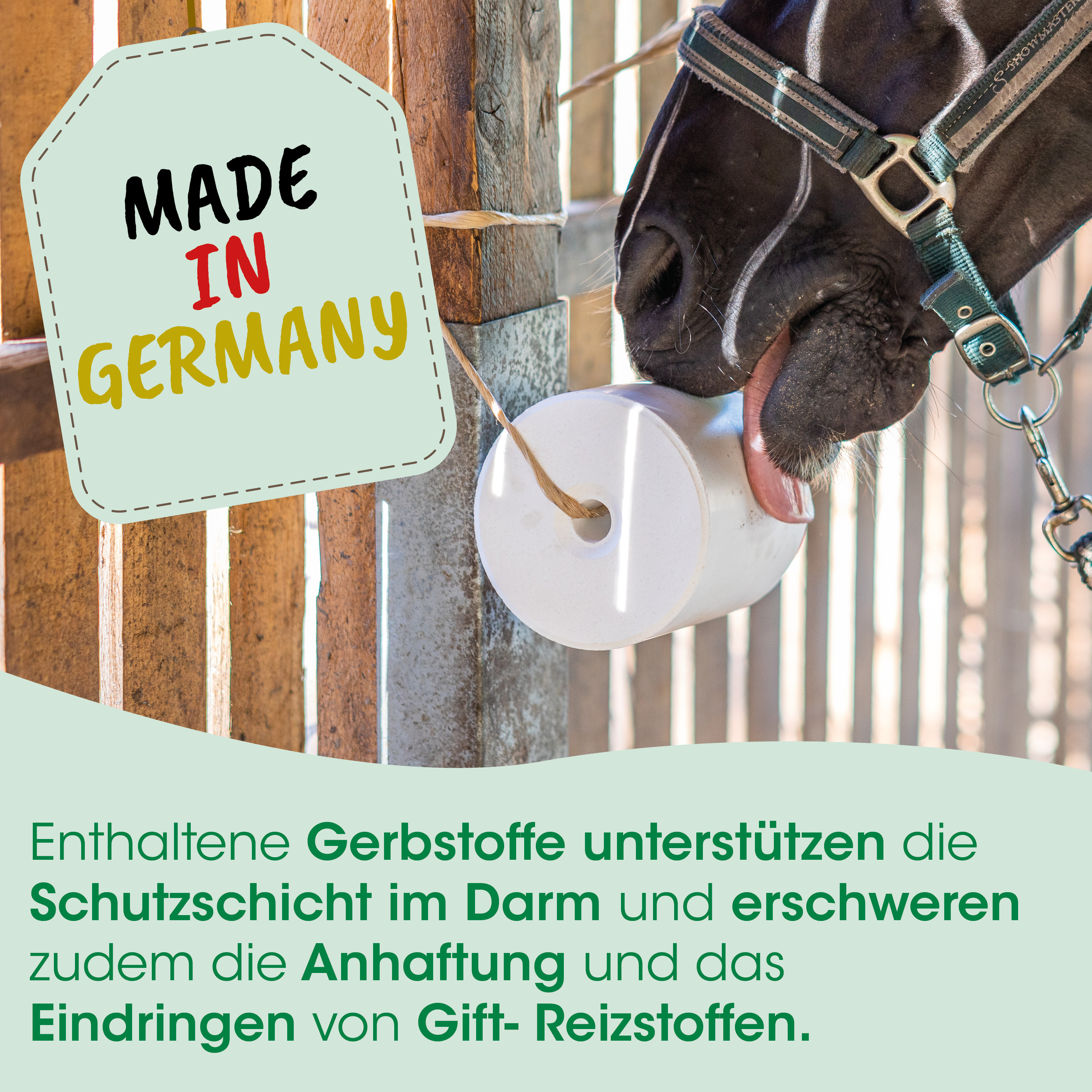 Pferd, Halter, Maulstück, Leckerli, Textschild