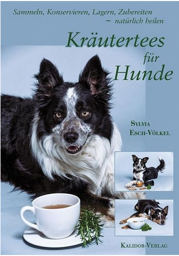 Kräuterig, Pflanze, Tasse, Kaffeetasse, Hund