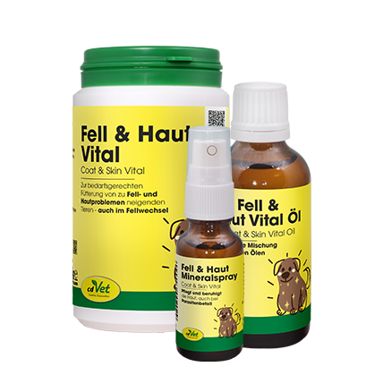 Kräuterig, Kräuter, Pflanze, Würzen, Sirup