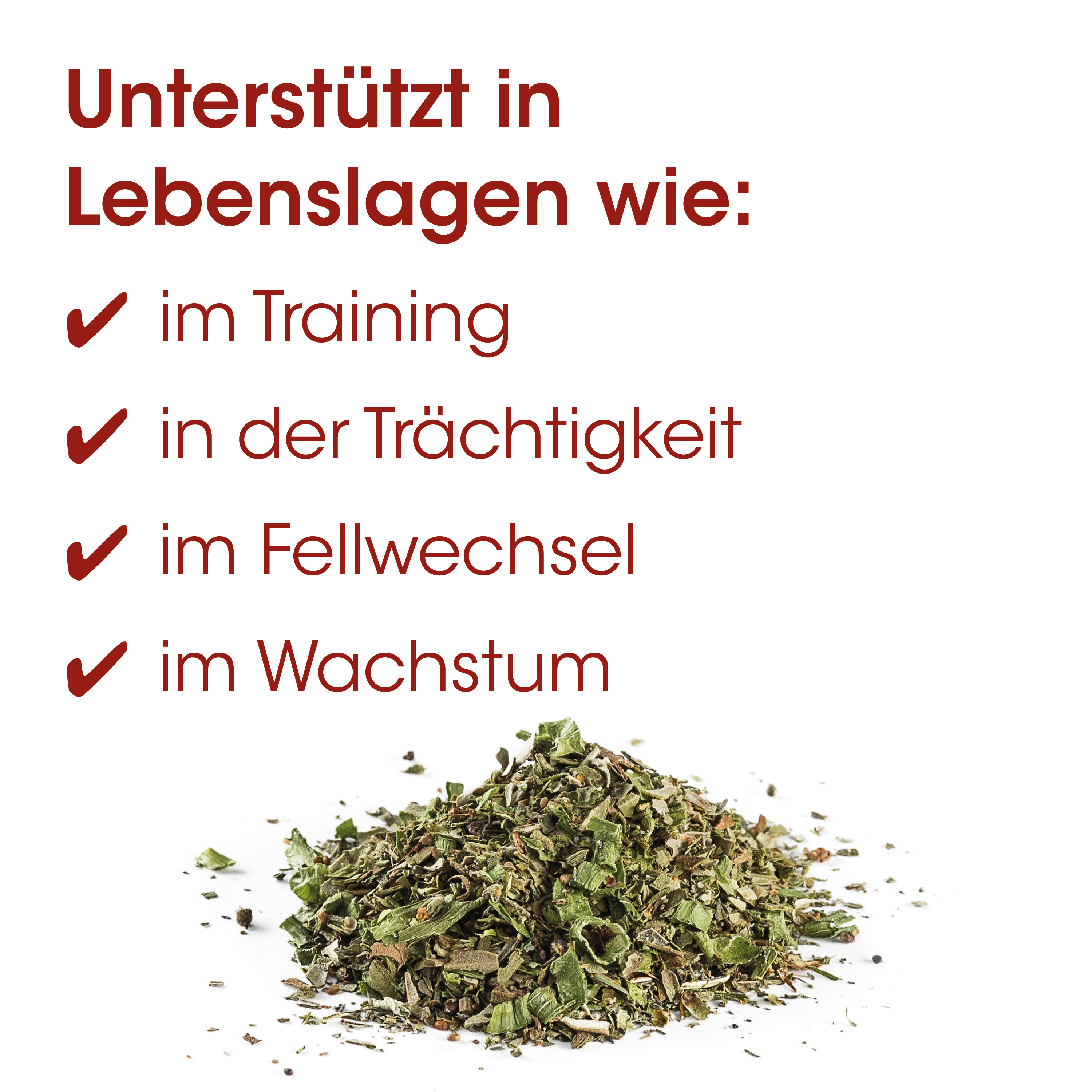Kraut-Tee, getrocknetes Kraut, Kräuterpulver, gehackte Kräuter, Grünzeug Mix