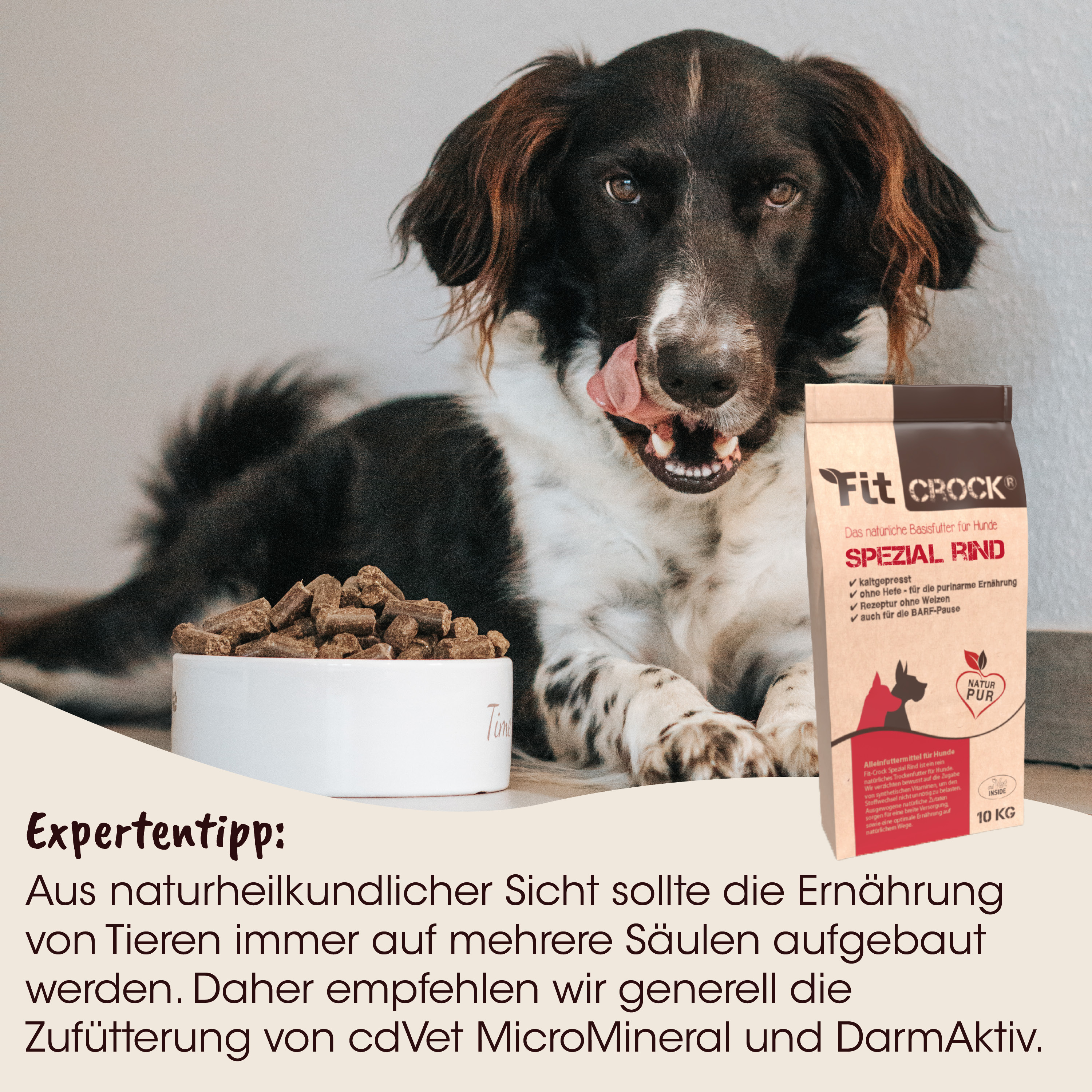 Hund, Hundefutter, Kauknochen, Tiernahrung, Planchette?