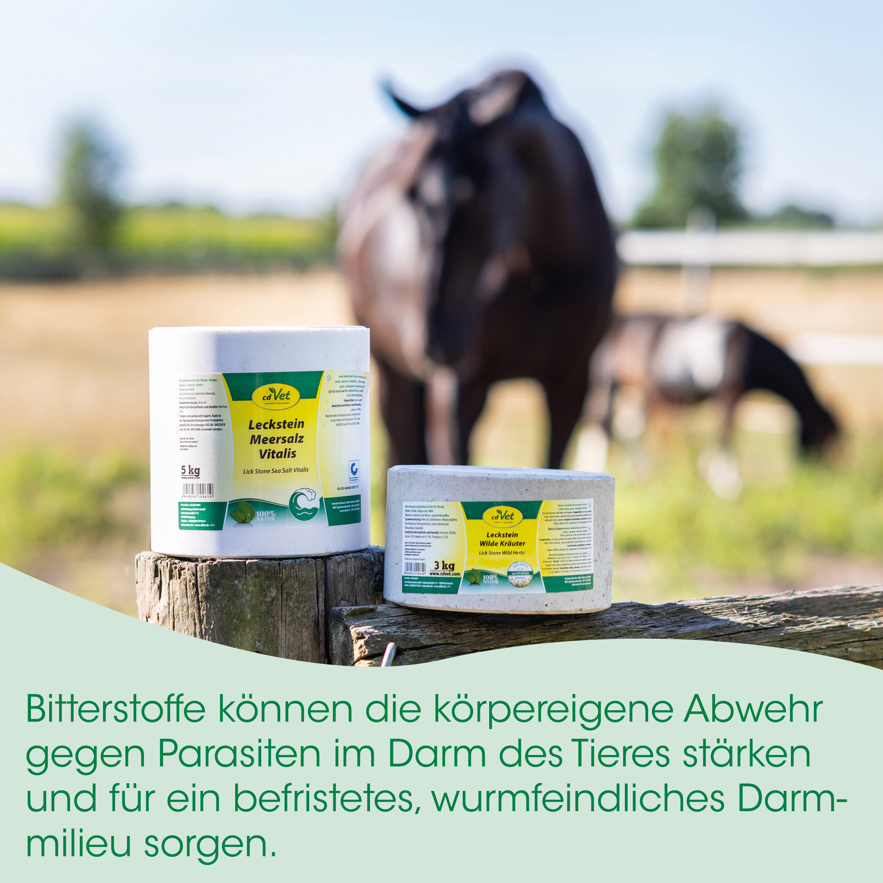 Käse?, Leckstein, Meersalz, Vitalis, Tierarzt?