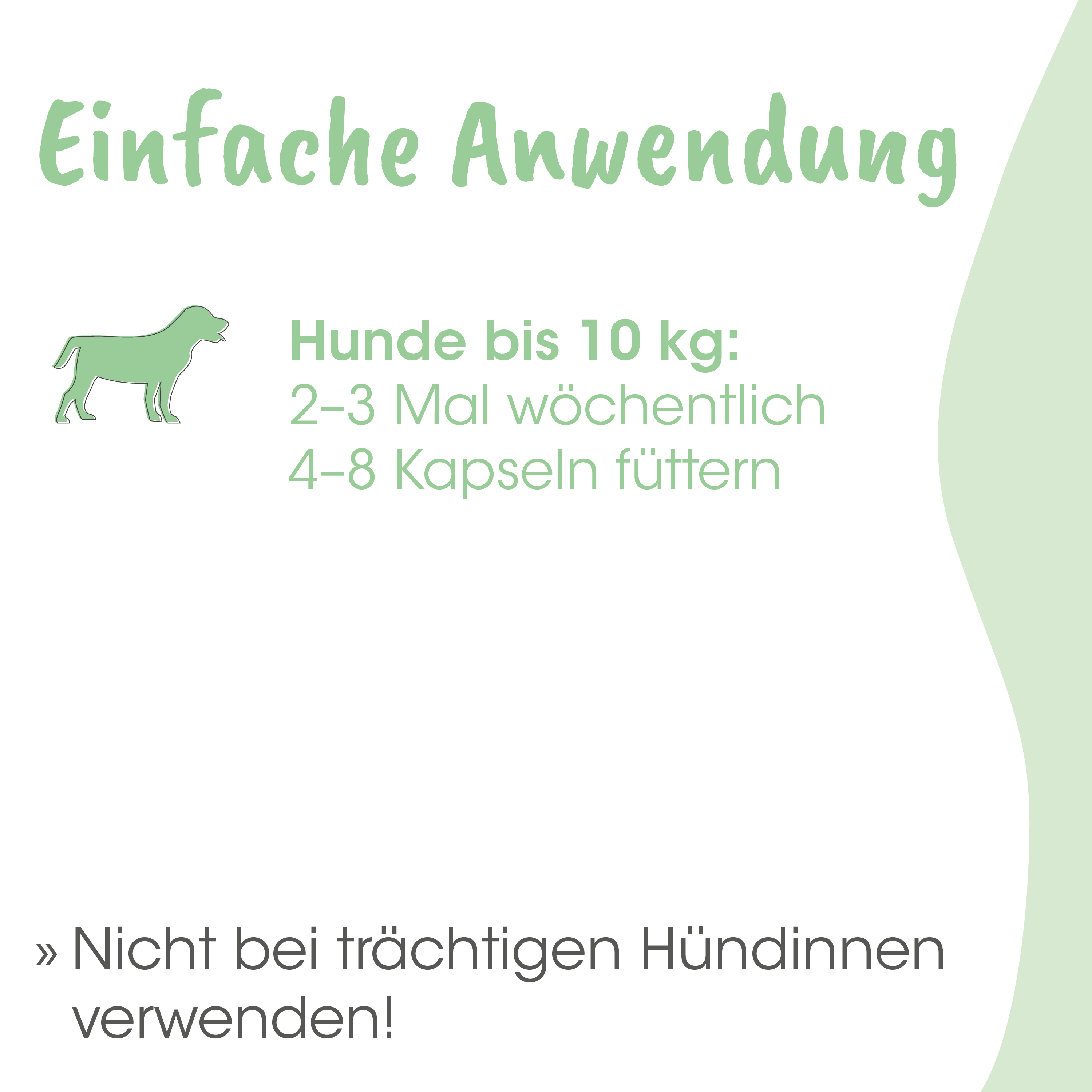 Hund, Kapseln, Füttern, Tiernahrung, Hunde