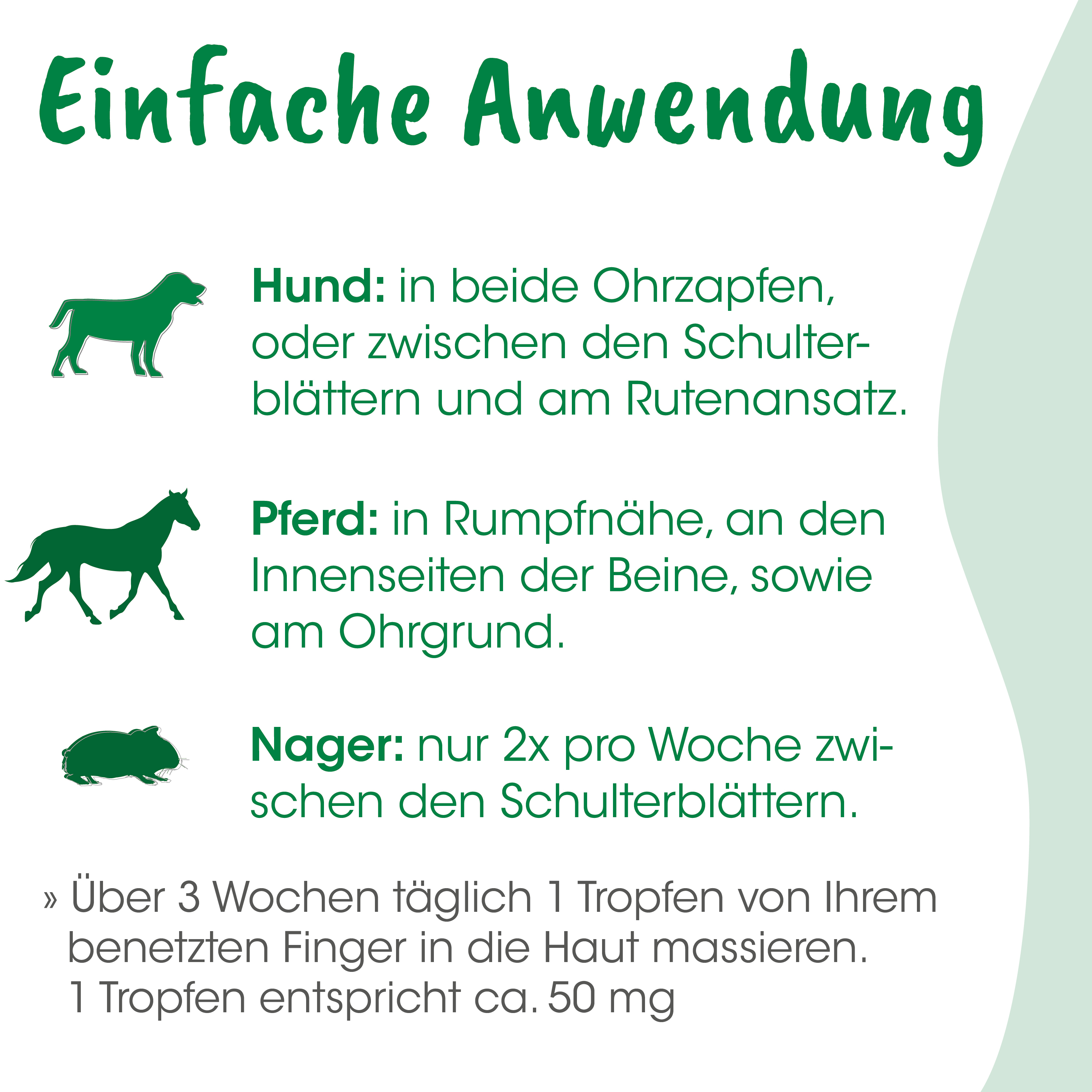 Hund, Pferd, Nager, Tier, Anleitung