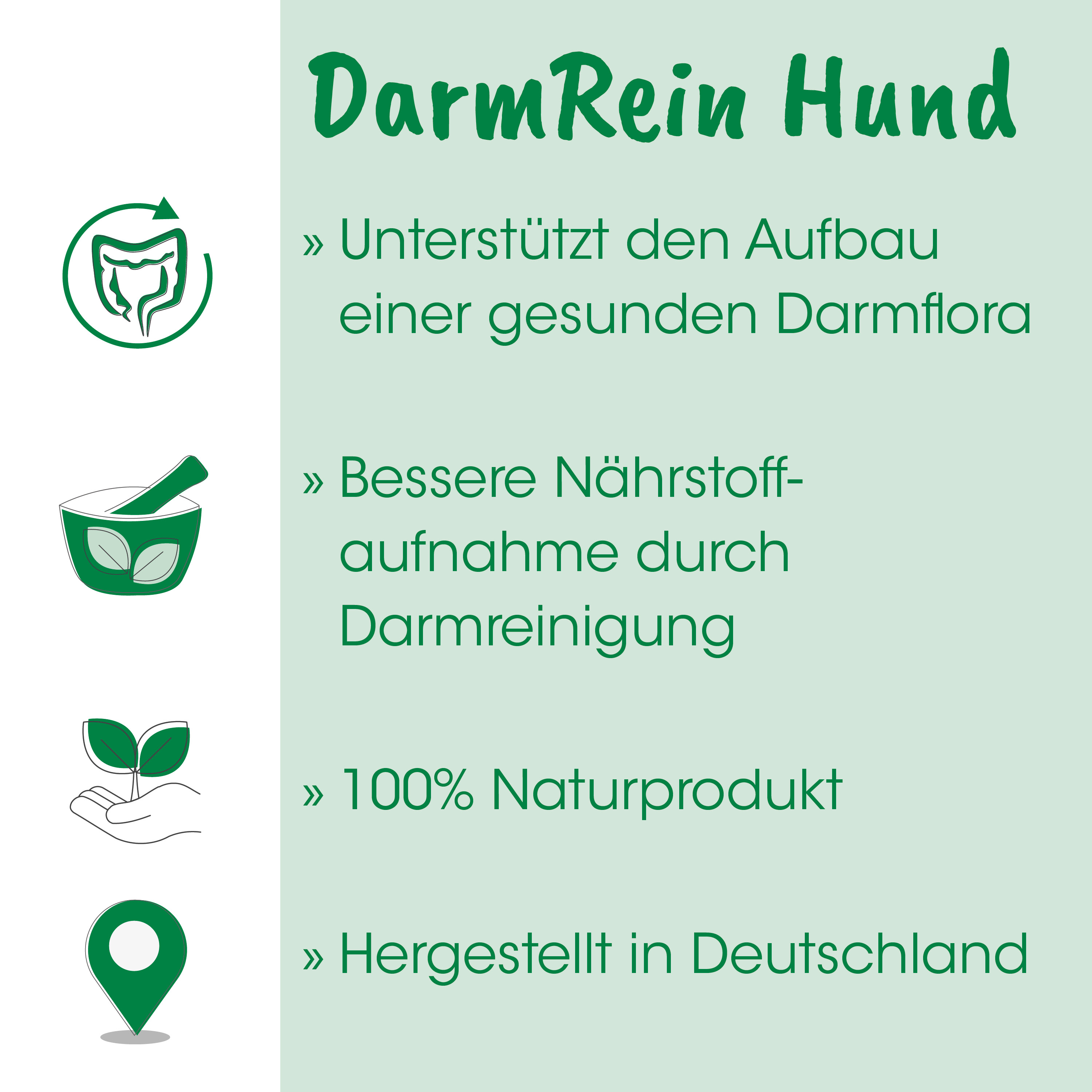 infografik, grün, darmrein, pflanze, natürliches-produkt