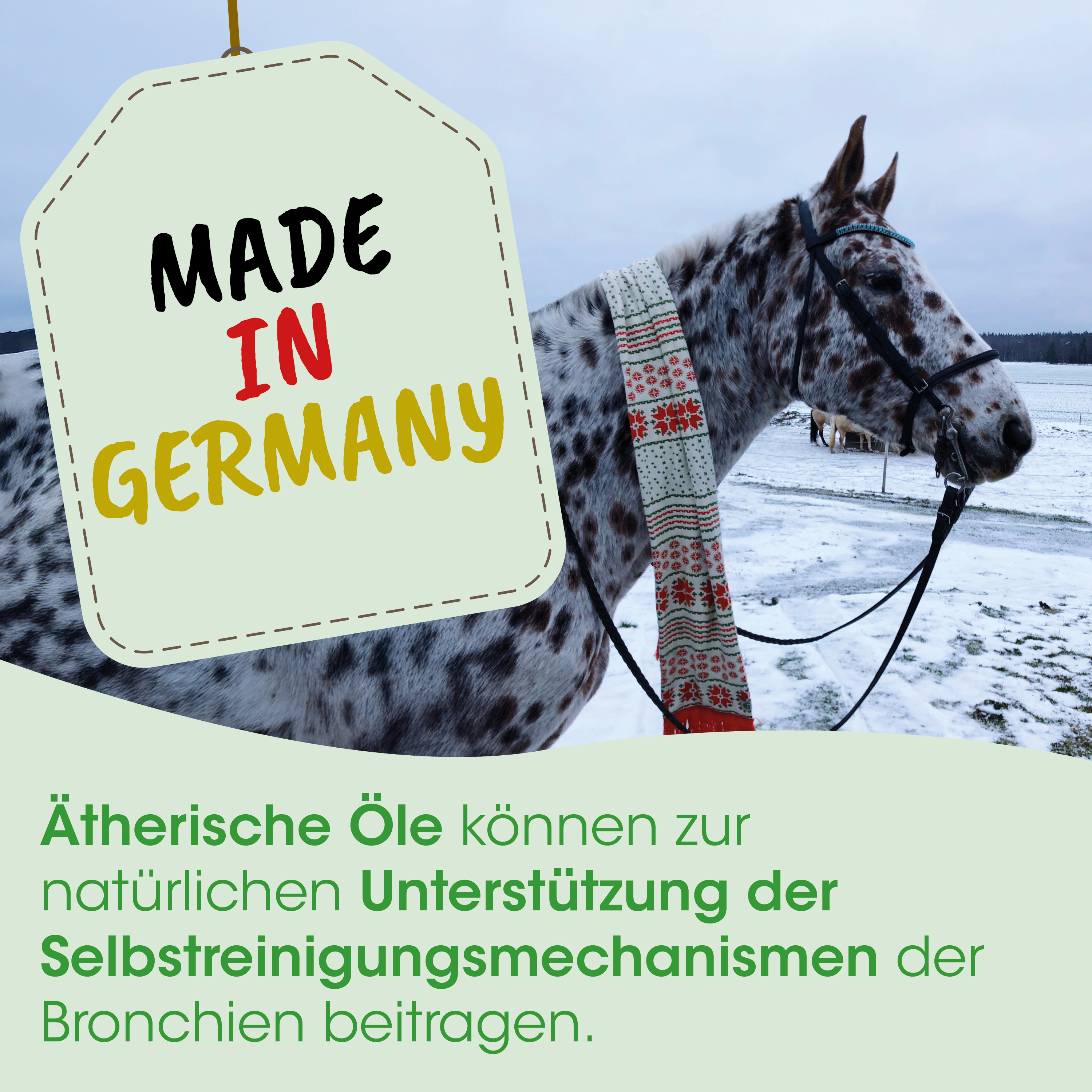 Pferd, Sattel, Decke, Nacht, Etikett