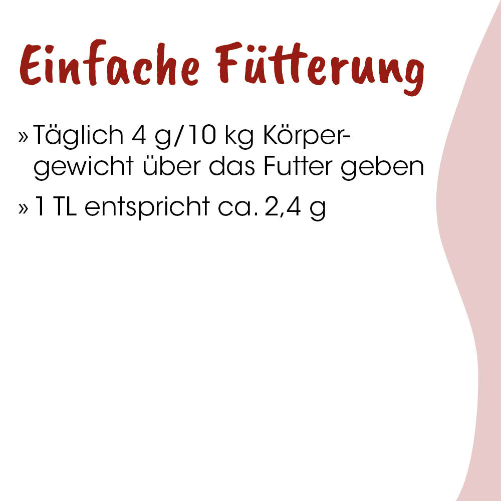 Fütterung, Futterschale, Tierbedarf, Futter, Hunde/Katze