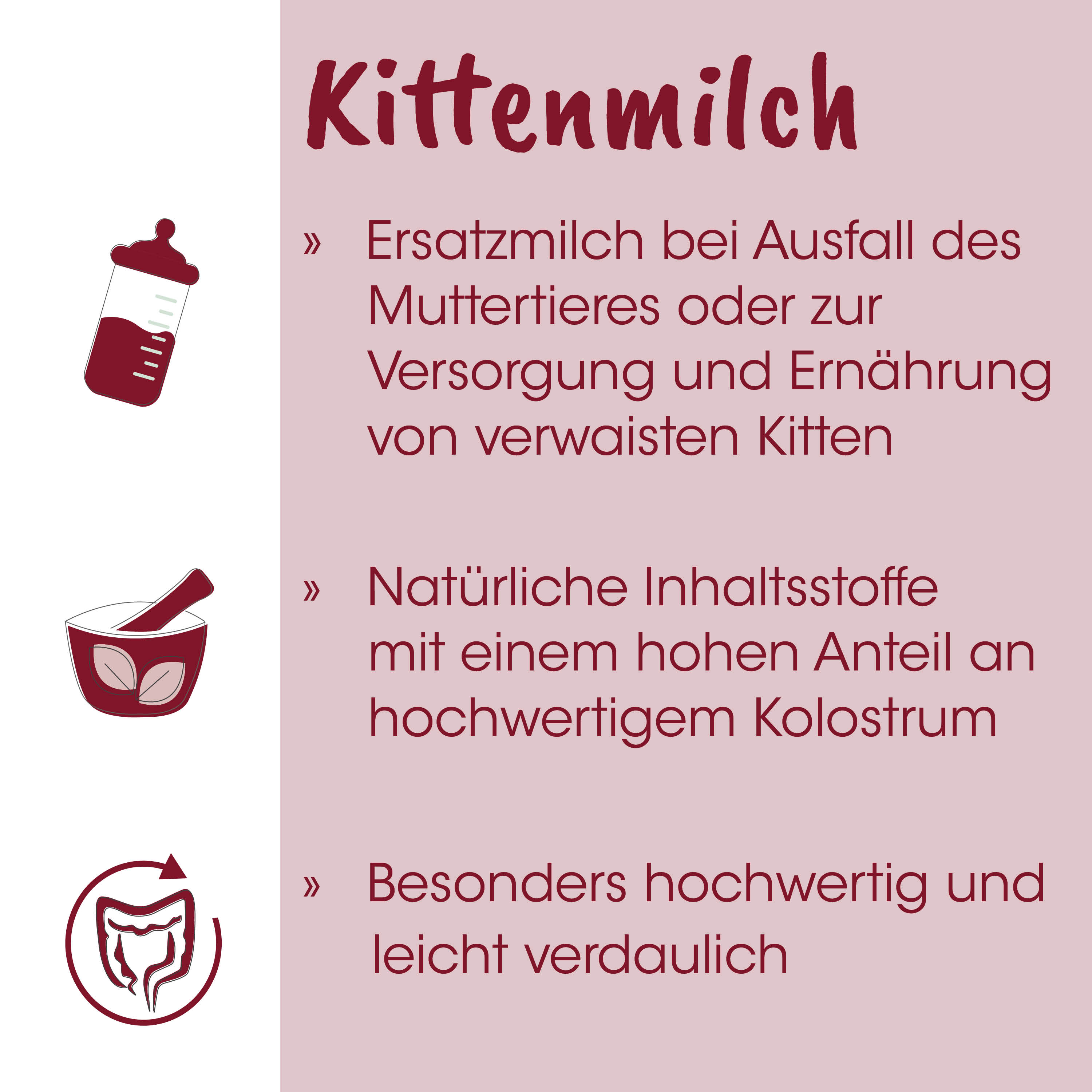 babyflasche, Milch, Kitten-Nahrung, Katzenmilch-Pulver, Tiernahrung