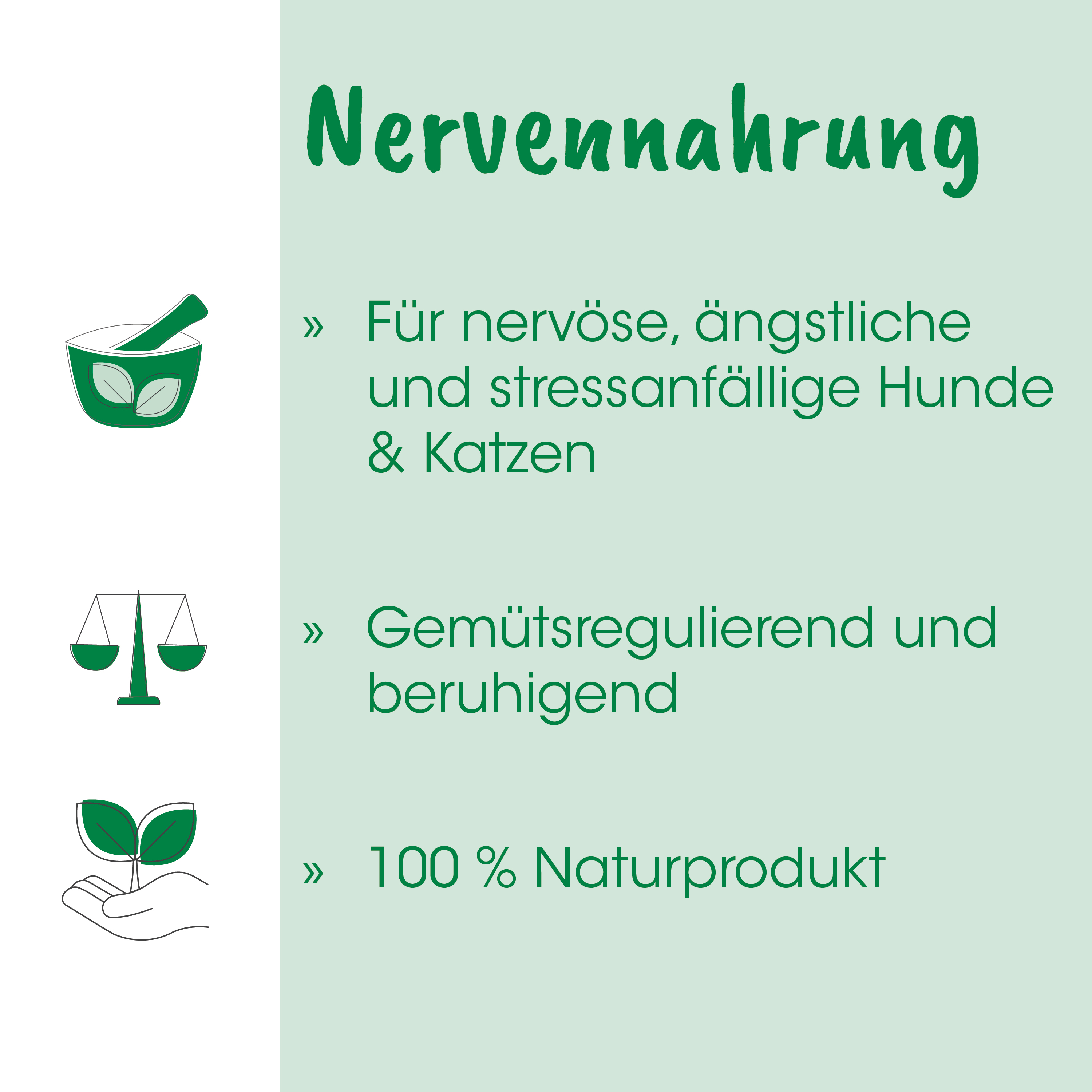 Produkt, Nahrungsergänzung, Naturprodukt, Kapseln, Grün