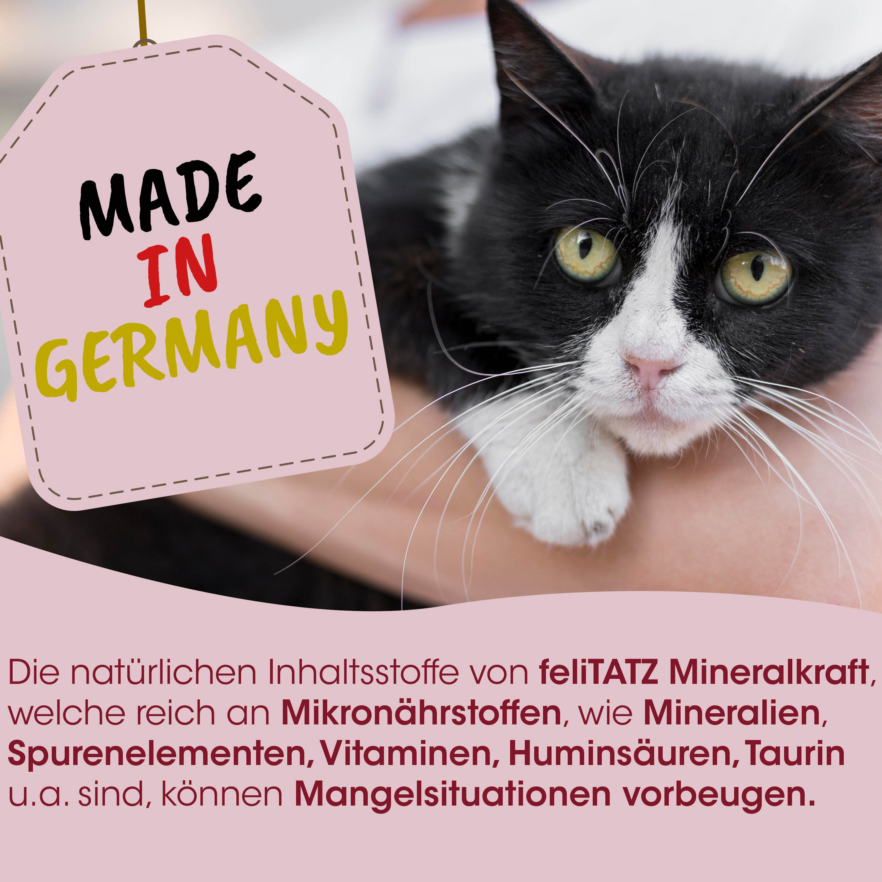 Katzenfoto, Tierhaltung, Made in Germany, Pet Tag, Schwarz-Weiß-Katze