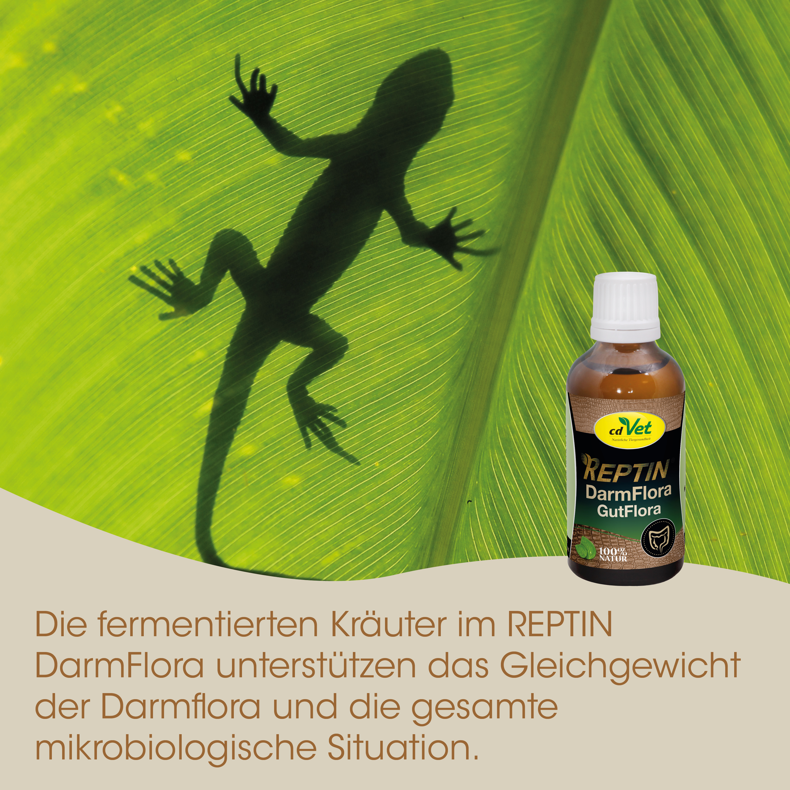 Reptin, Darmflora, Gutflora, Probiotics, Tiermedizin
