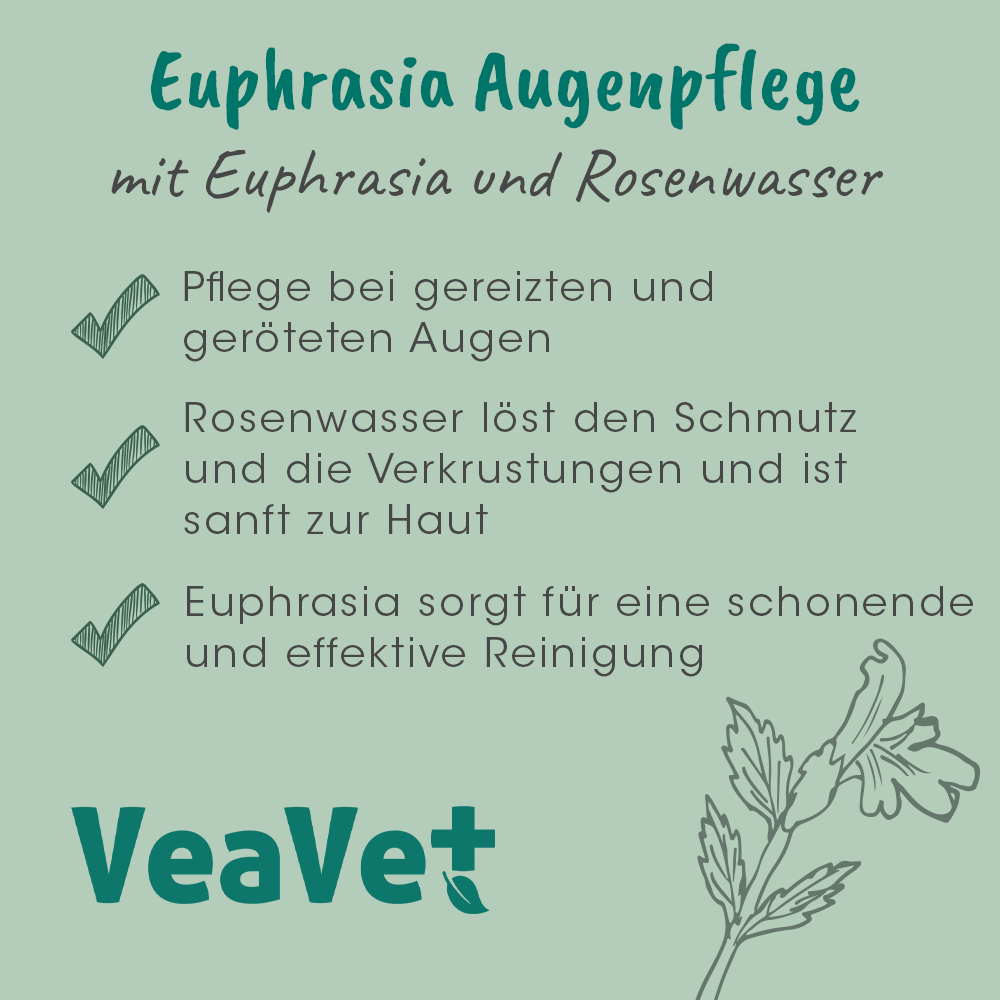 Kräuterig, Pflanze, Werbung, Plakat, Text