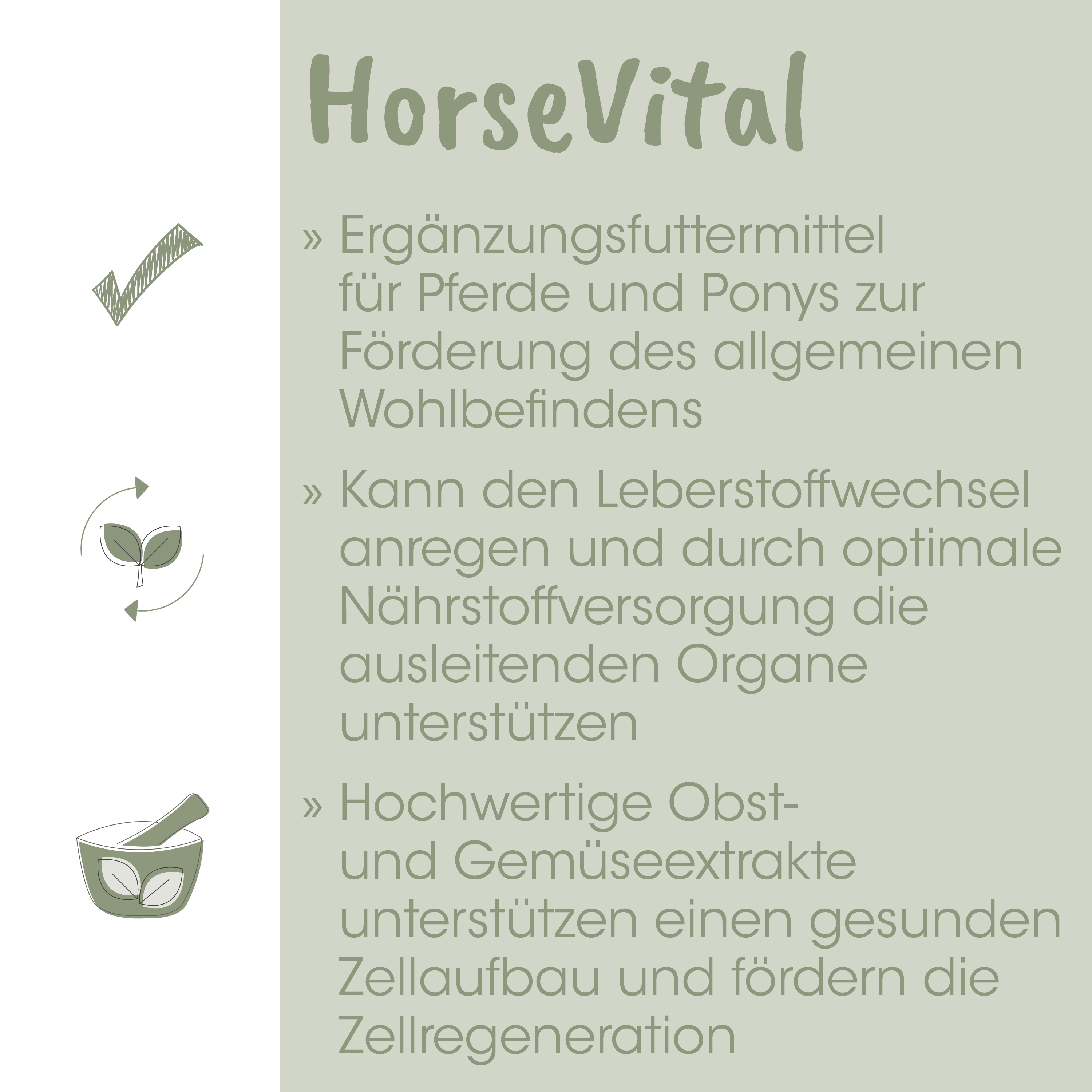 Ergänzungsfutter, Pferde, Pony, Nahrungsergänzung, Wohlbefinden