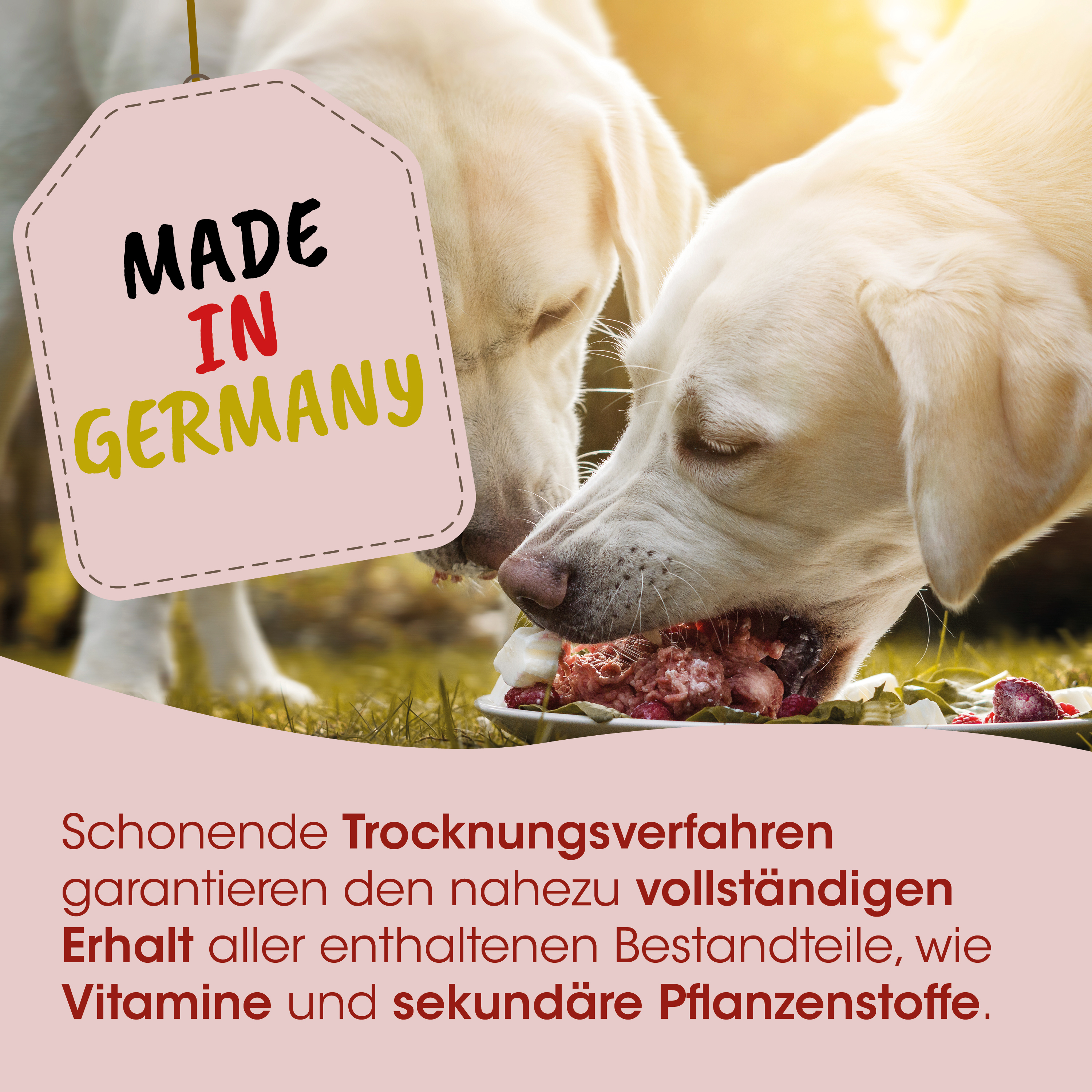 hundefutter, futter, fleisch, trocknungsverfahren, deutschland