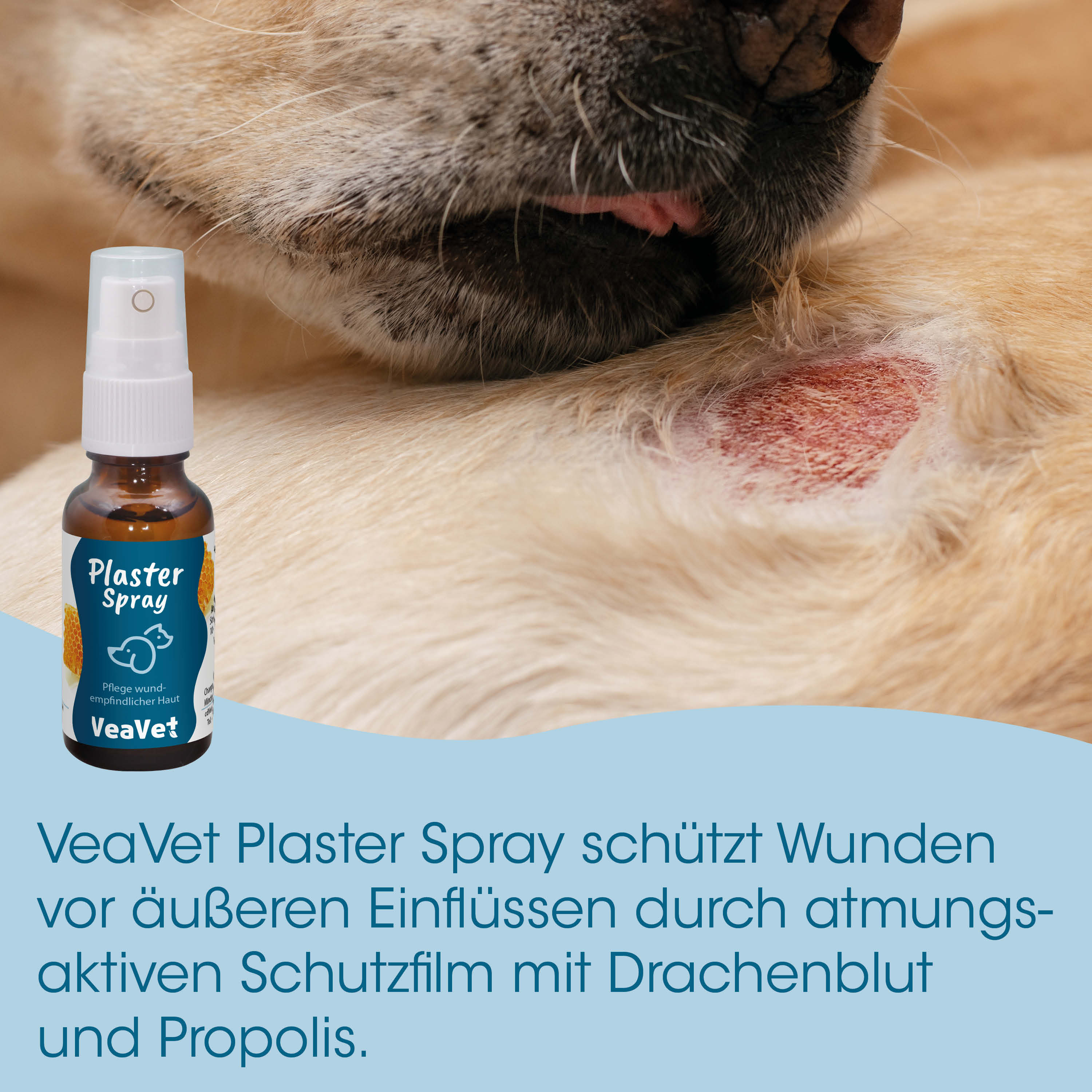 Wunde, Wundbehandlung, Plaster Spray, Hautpflege, Tiermedizinprodukt