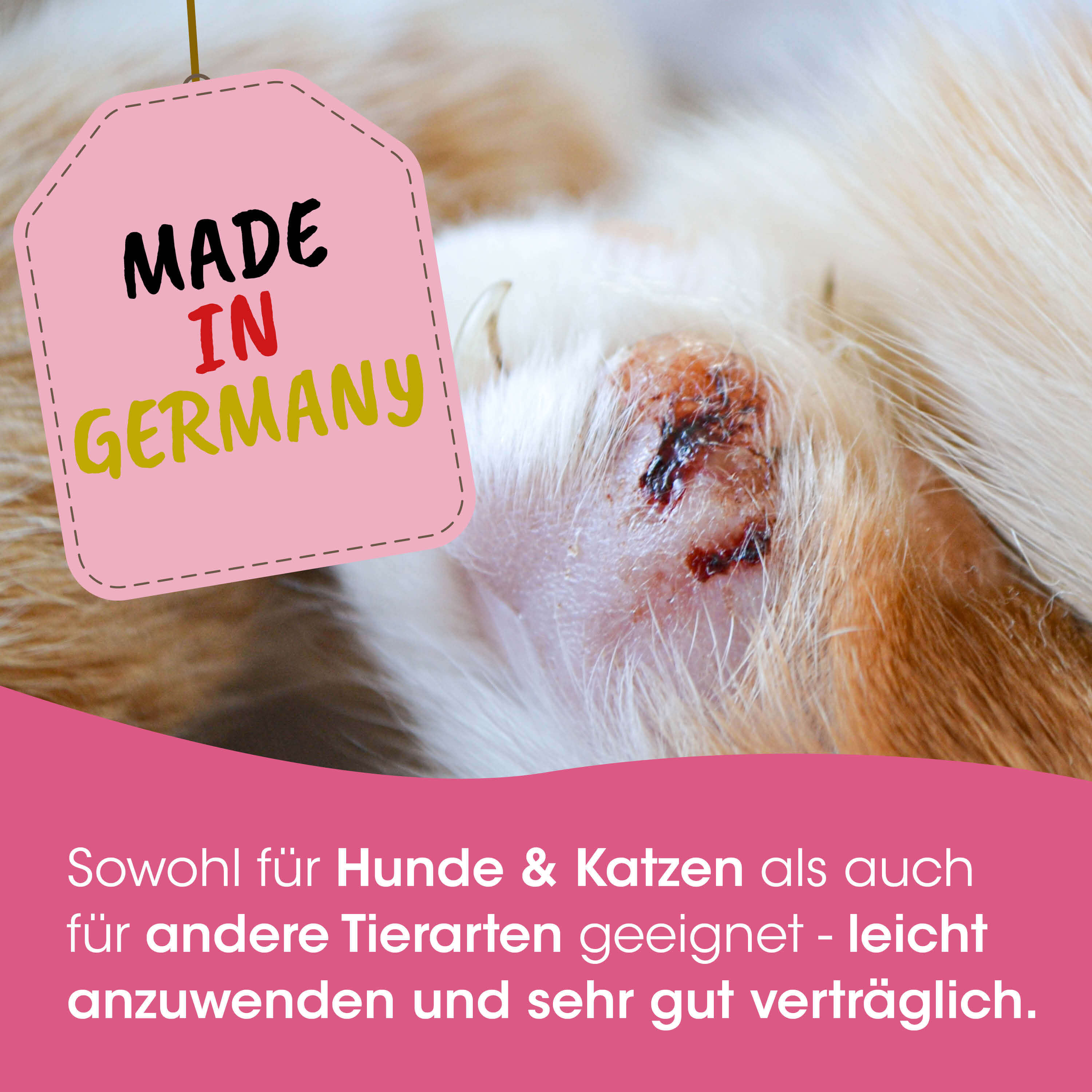 hunde-wunde, verband, pinkes-etikett, hergestellt-in-deutschland, fell
