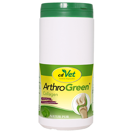 collagen, Gelenksupplement, Pulverb-瓶?, grüner Deckel, cdVet ArthroGreen