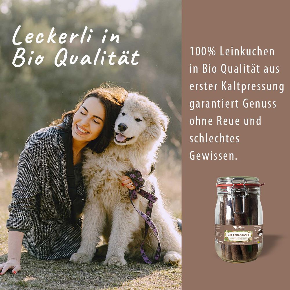 Hund, Tier, Leine, Halsband, Glasgefäß