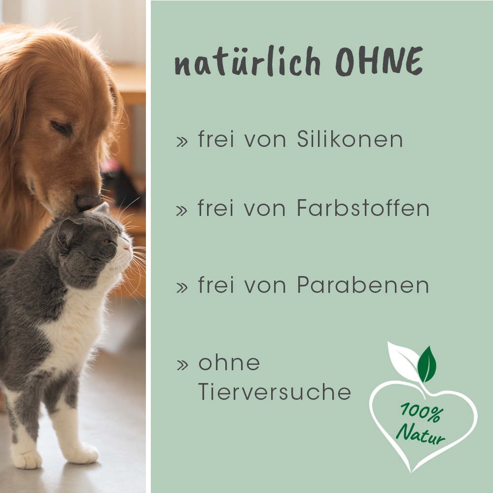 Werbung, Plakat, Hund, Haustier, Katze