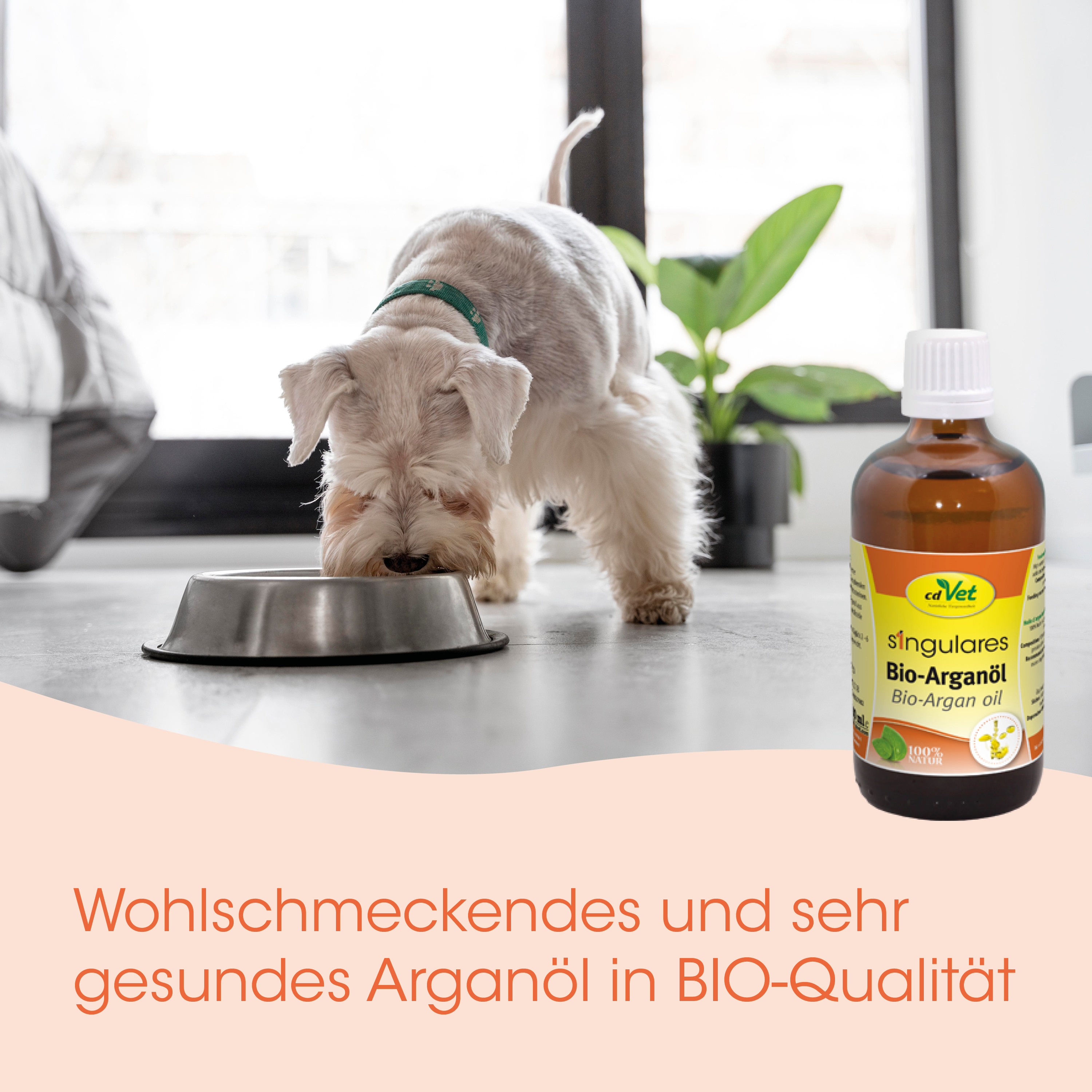 Hund, Hundeernährung, Tiernahrung, Bio-Arganöl, Futtertropfen