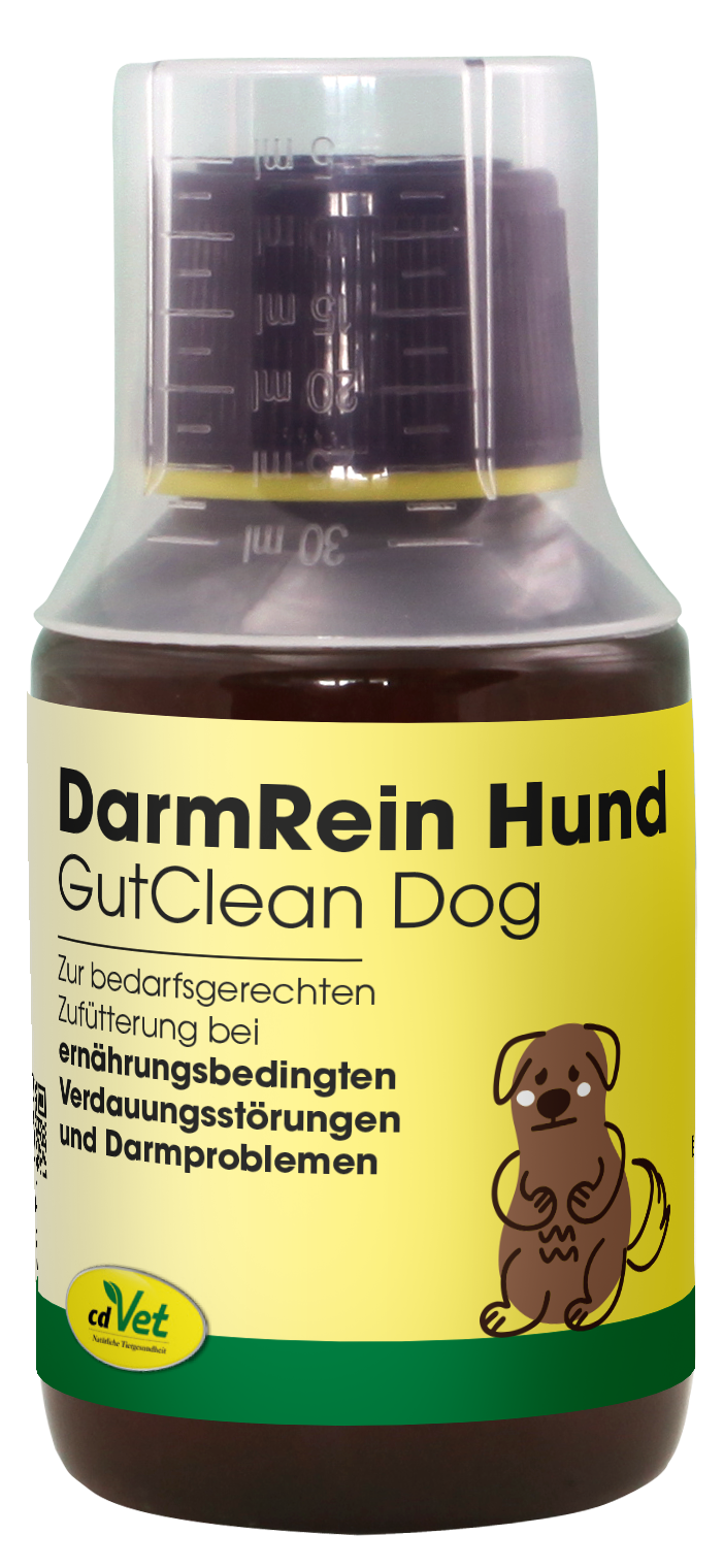 DarmRein Hund 100 ml DarmRein Hund 100 ml