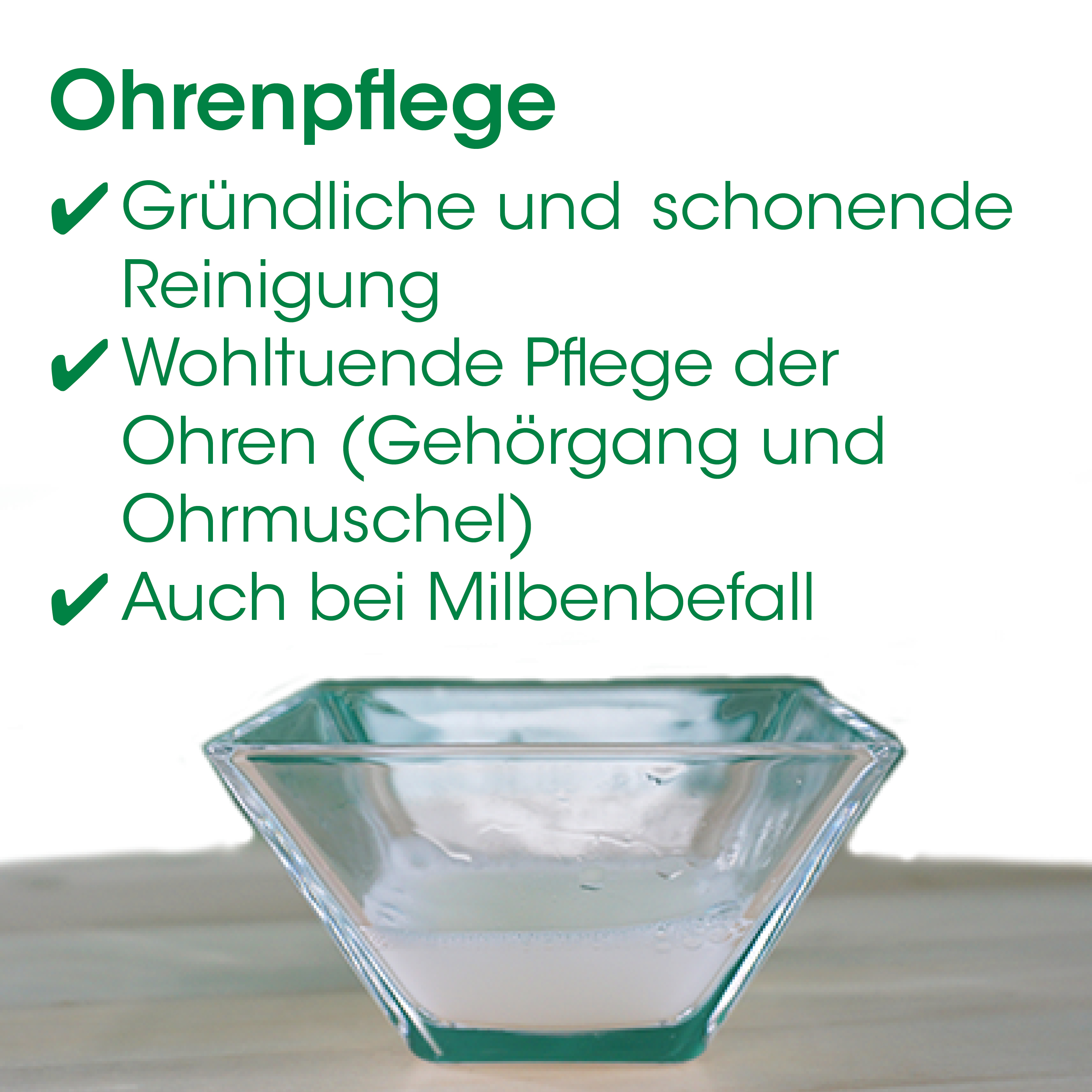 Ohrenpflege, Reinigung, Gehörschutz, Ohrenschmalz, Ohrpflege-Set